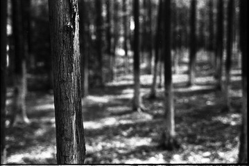 Untitled-6.jpg