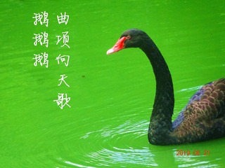 1525717