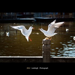IMG_8909'.jpg