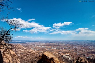 IMG_2290.jpg