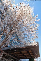 IMG_3146.jpg