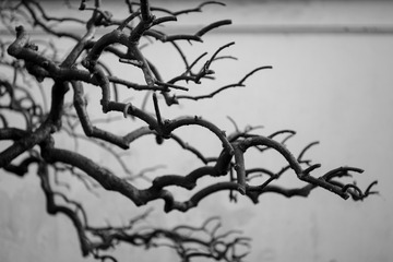 L1007651