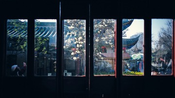 L1006252