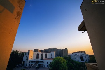 IMG_3310.jpg