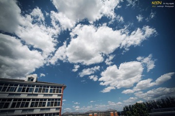 IMG_3391.jpg