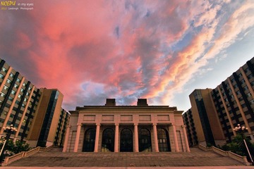 IMG_3633.jpg