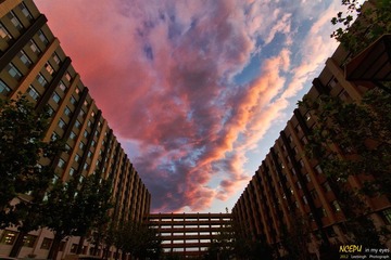 IMG_3634.jpg