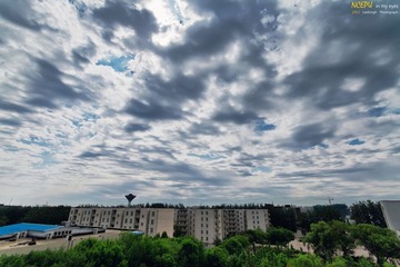 IMG_3674.jpg
