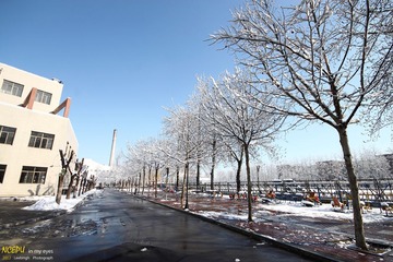 IMG_7812.jpg