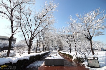 IMG_7829.jpg