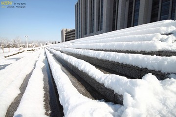 IMG_7842.jpg