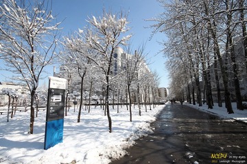 IMG_7849.jpg