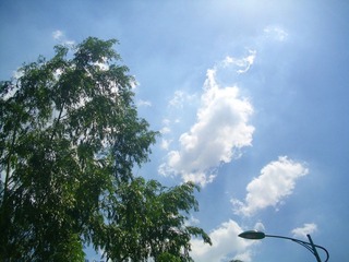 校园的天空