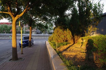 IMGP9243.JPG