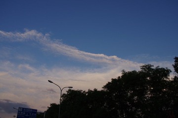 IMGP9264.JPG