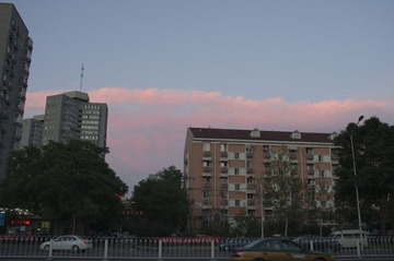 IMGP9285_CR.JPG