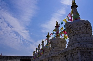 IMGP3275_CR.JPG