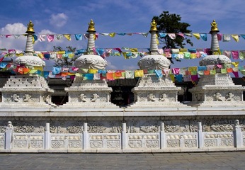 IMGP3277_CR.JPG