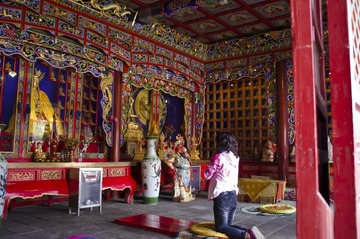 IMGP3310_CR.JPG