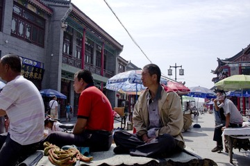 IMGP3321_CR.JPG