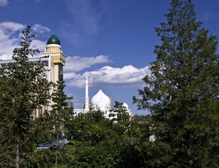 IMGP3340_CR.JPG