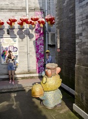 IMGP2531_CR.JPG