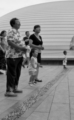 IMGP2646_CR.JPG