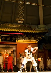 IMGP1563_CR.JPG