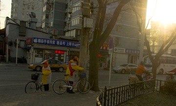 IMGP9381_CR