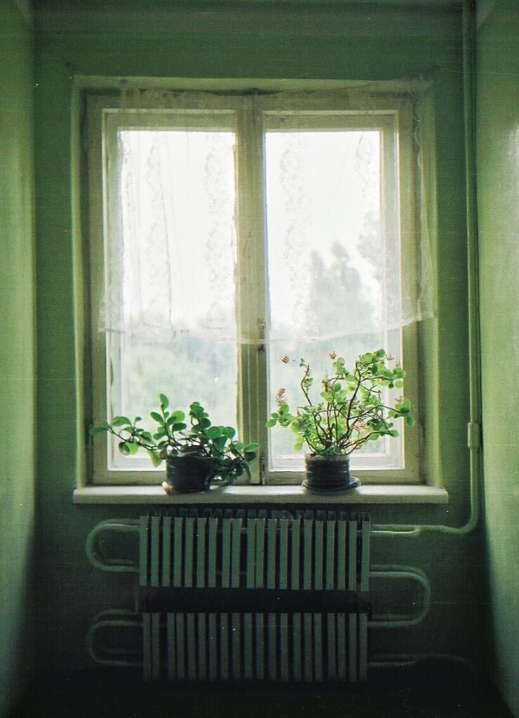Olympus PEN FT  有时候不禁回忆起那乌国的一扇扇窗，暖气，小花，朴素的窗帘。小花也依光生长。静谧，淡定，满足，那个国家亦是如此。今儿图虫肿么了,我能说一日分享量过200么,好吧,发图纪念下.