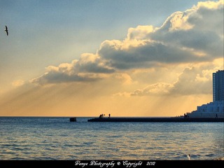 P1018390水印.jpg