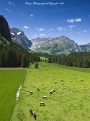 WY072222水印.jpg