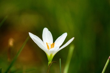 10551