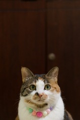99579