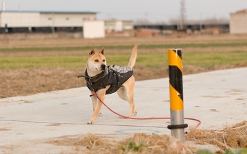 94599