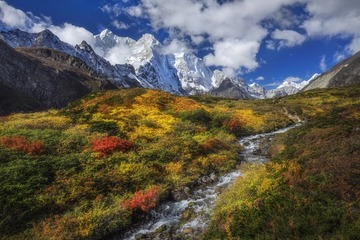 “_DSC0736-编辑-编辑-编辑”为智能对象-1