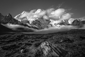 _DSC0718-编辑-编辑