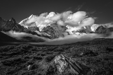 _DSC0718-编辑-编辑