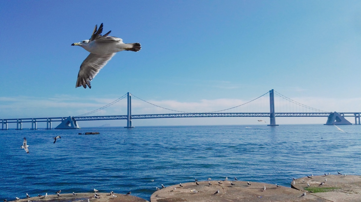 vincent睿 - 图虫网 - 优质摄影师交流社区