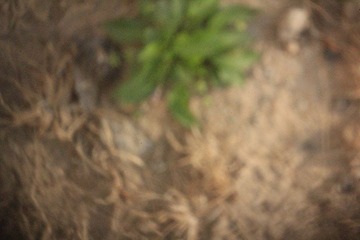 _MG_2140.JPG
