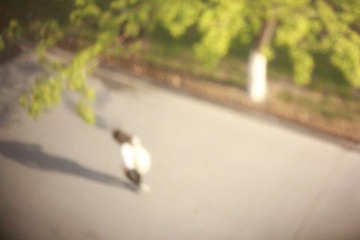 _MG_2207.JPG