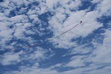 58B562BA-3D2F-4387-B30B-73E7EB13F0FA/L0/001