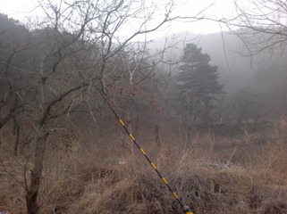 201203171061_1.jpg