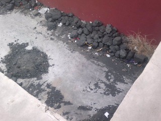 201203171062_1.jpg