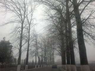 201203171071_1.jpg