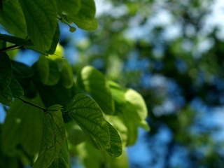 P7020128