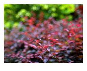 P7050056