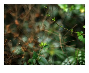 P7050071
