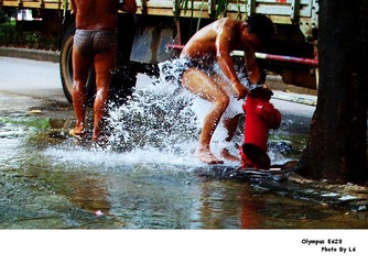P1.jpg