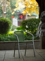 P1080045.jpg